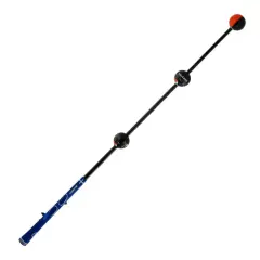 Leadbetter SwingSetter